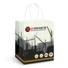 Full Colour Medium Paper Carry Bags printed